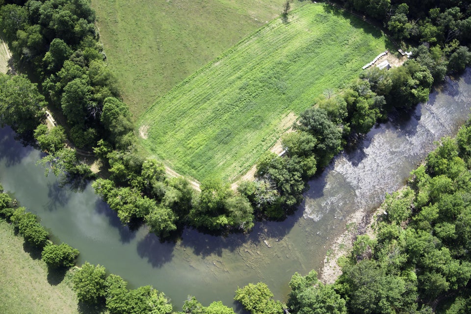 Photo #3: 20486 Canebrake Road