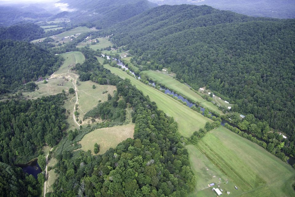 Photo #11: 20486 Canebrake Road