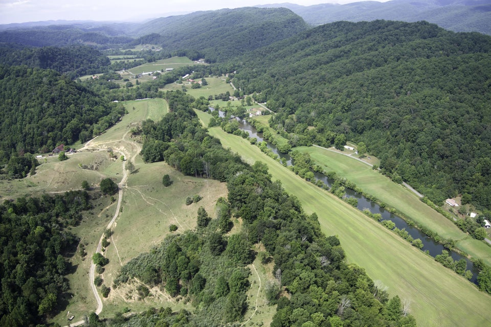 Photo #10: 20486 Canebrake Road