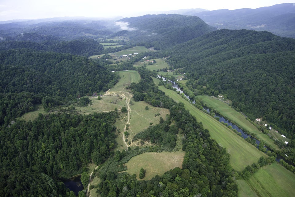 Photo #12: 20486 Canebrake Road