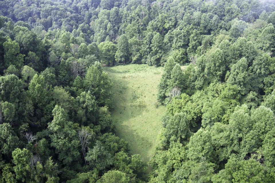 Photo #20: 20486 Canebrake Road