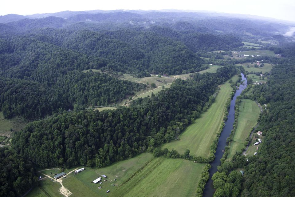 Photo #9: 20486 Canebrake Road