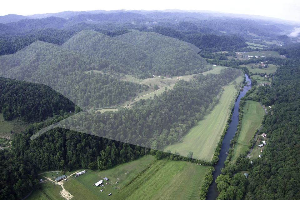 Photo #4: 20486 Canebrake Road