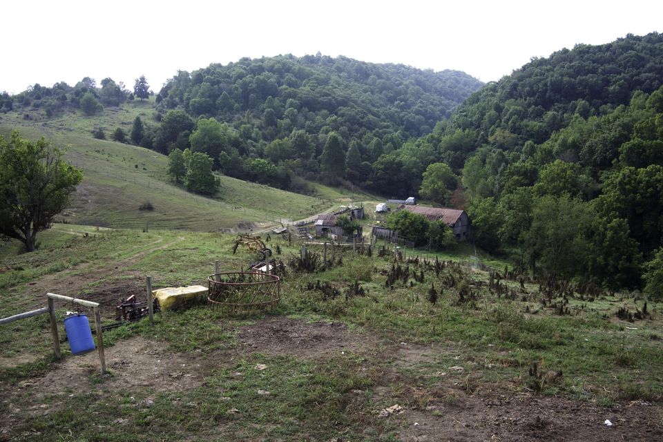 Photo #23: 20486 Canebrake Road