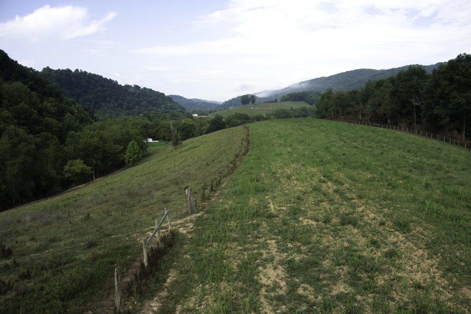 Photo #24: 20486 Canebrake Road