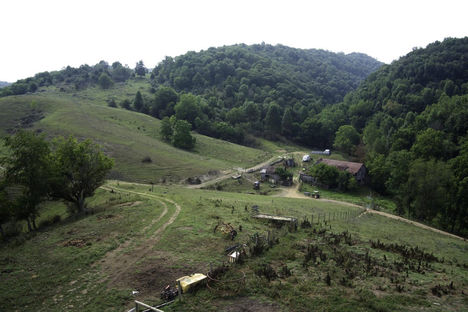 Photo #25: 20486 Canebrake Road