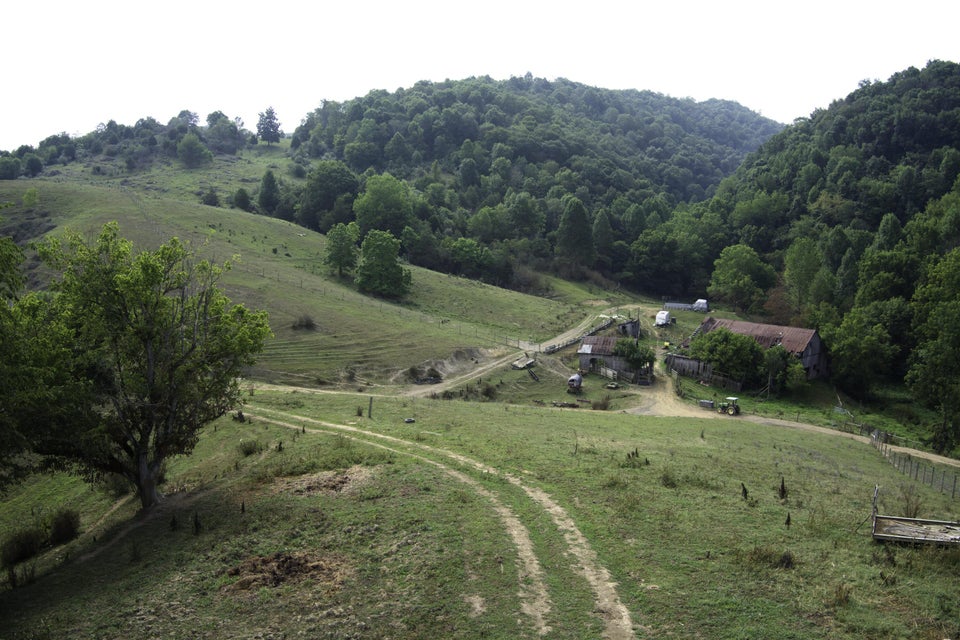 Photo #26: 20486 Canebrake Road