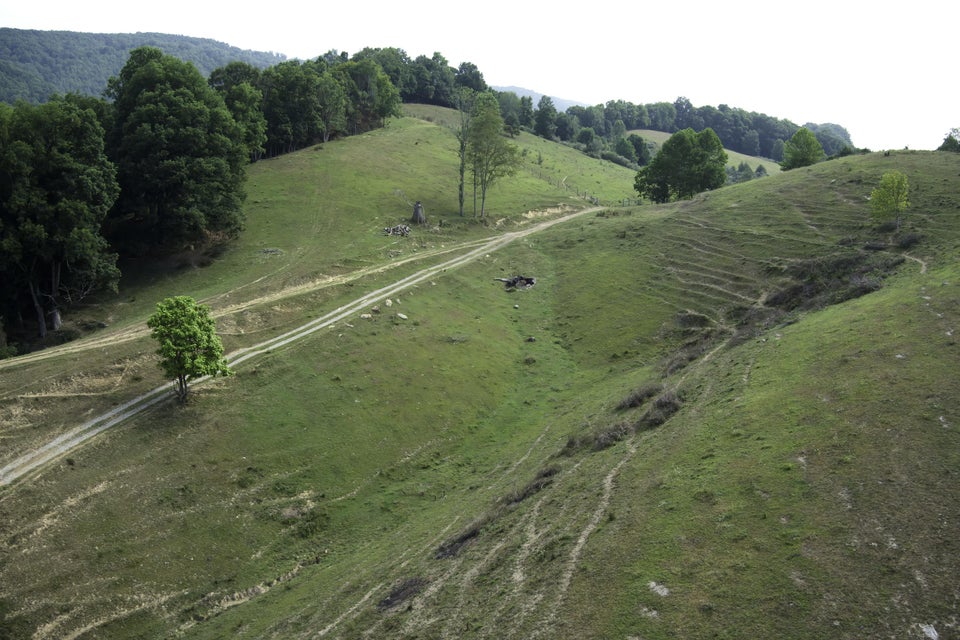 Photo #29: 20486 Canebrake Road