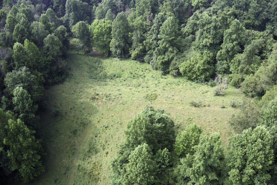 Photo #32: 20486 Canebrake Road