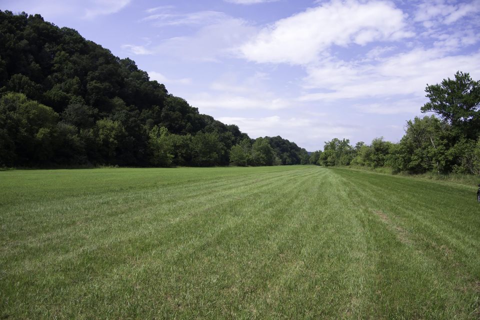 Photo #33: 20486 Canebrake Road