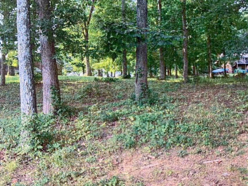 Photo #3: Lot 2 Cedar Point Road