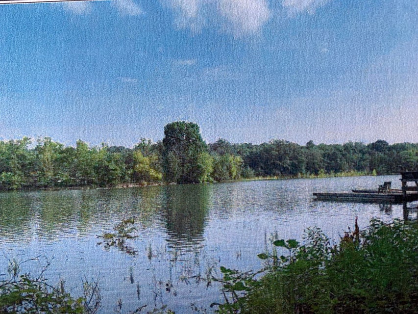Photo #4: Lot 2 Cedar Point Road