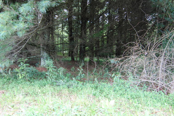 Photo #7: 000 Laurel Way, Lot #46