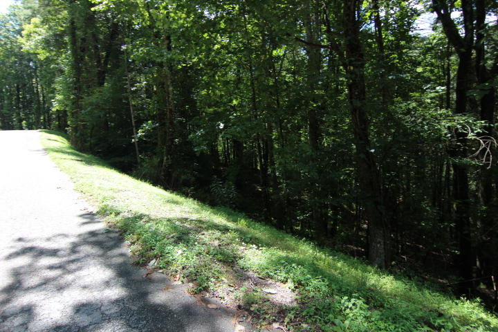 Photo #2: 000 Laurelwood Lane, Lot #9
