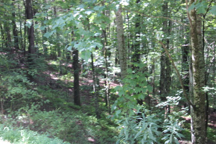 Photo #6: 000 Laurelwood Lane, Lot #9