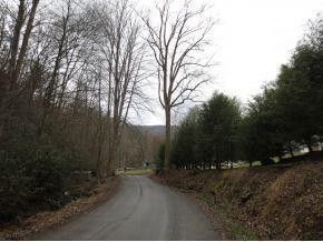 Photo #11: Tbd Ingram Branch Road