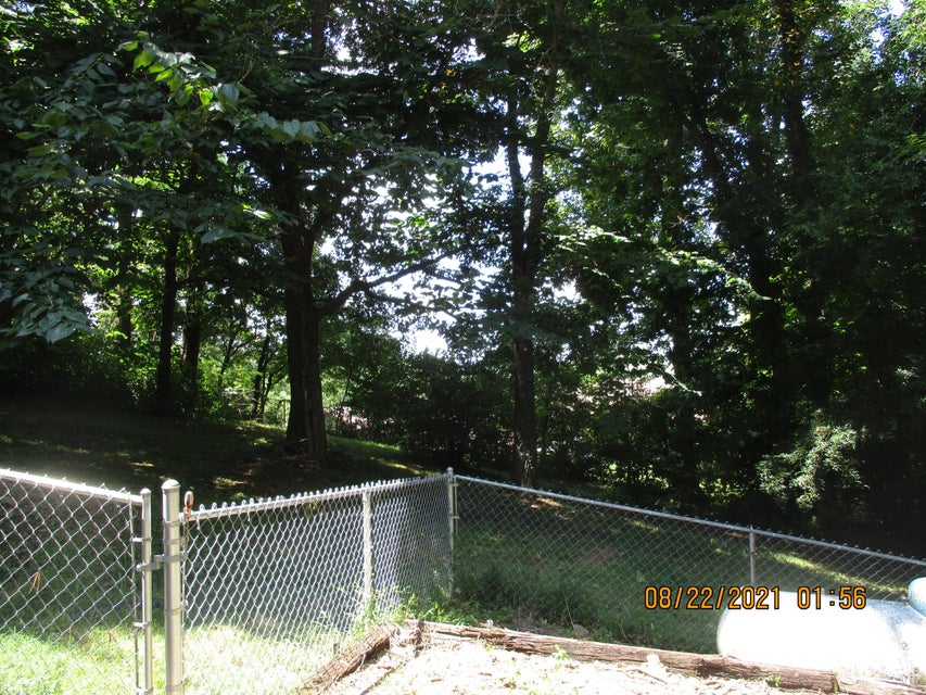 Photo #46: 252 Overhill Drive