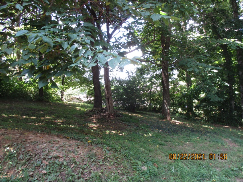 Photo #47: 252 Overhill Drive