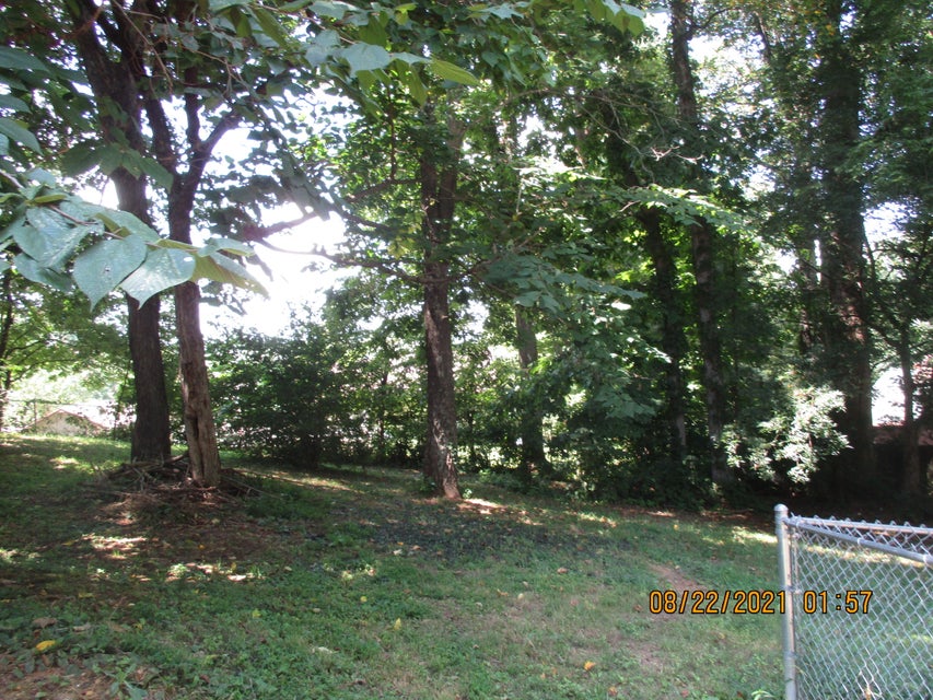 Photo #48: 252 Overhill Drive