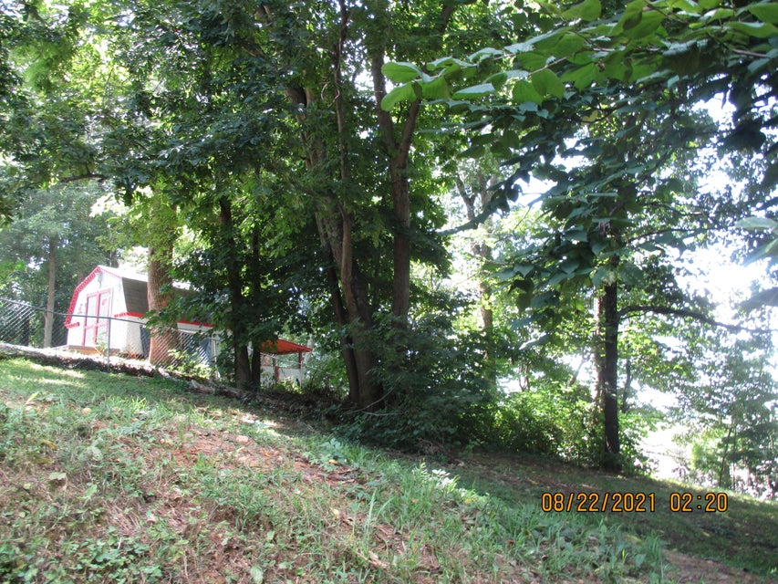 Photo #50: 252 Overhill Drive