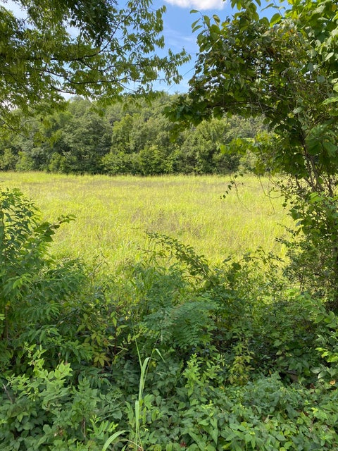 Photo #2: 04 Old Knoxville Highway