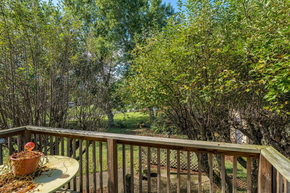Photo #43: 169 Greenmeadow Lane