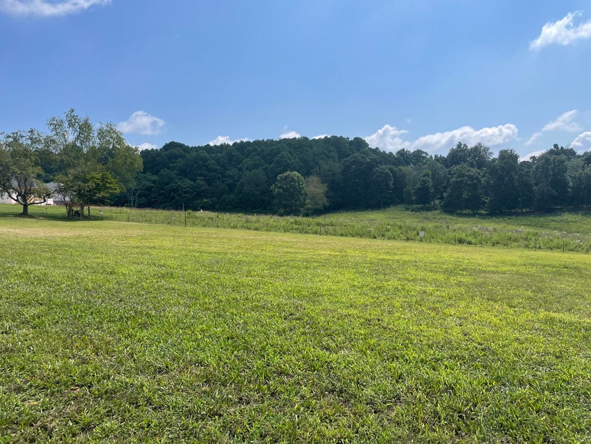 Photo #2: Lot 20 Rhett Way Way