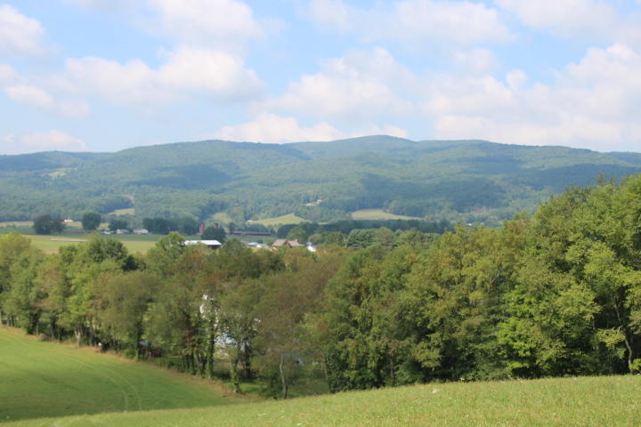 Photo #6: 000 Gentry Road