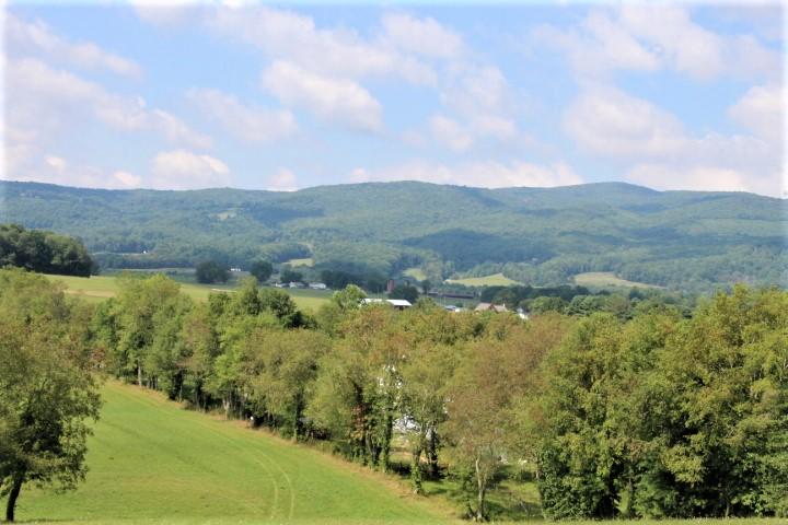 Photo #8: 000 Gentry Road