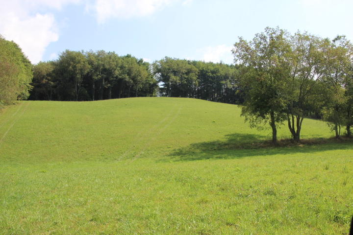 Photo #9: 000 Gentry Road