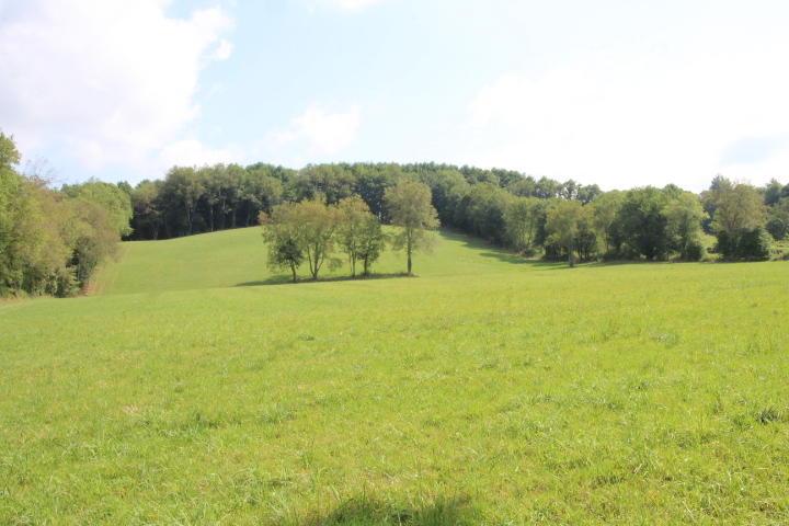 Photo #10: 000 Gentry Road