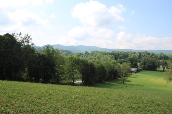 Photo #13: 000 Gentry Road