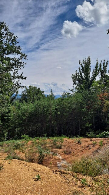 Photo #1: 0 English Ivy Trail