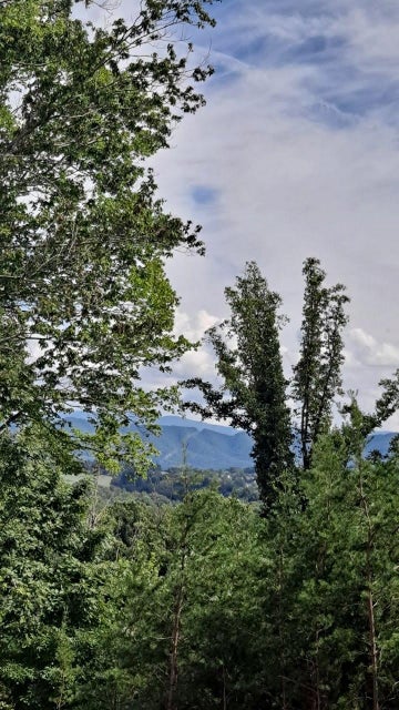 Photo #3: 0 English Ivy Trail