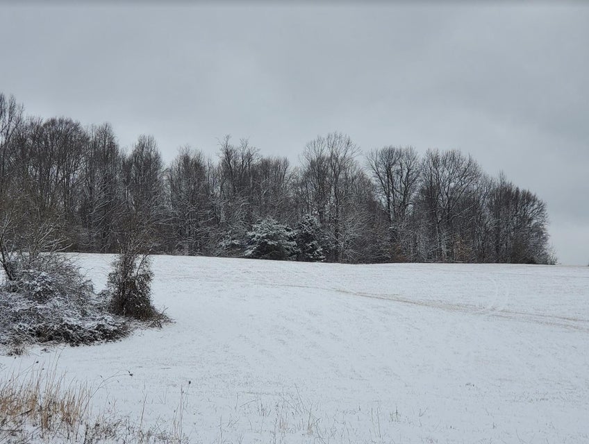 Photo #16: Lot 5 Antioch Road