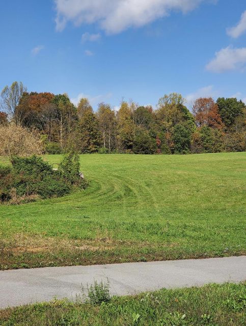 Photo #14: Lot 6 Antioch Road