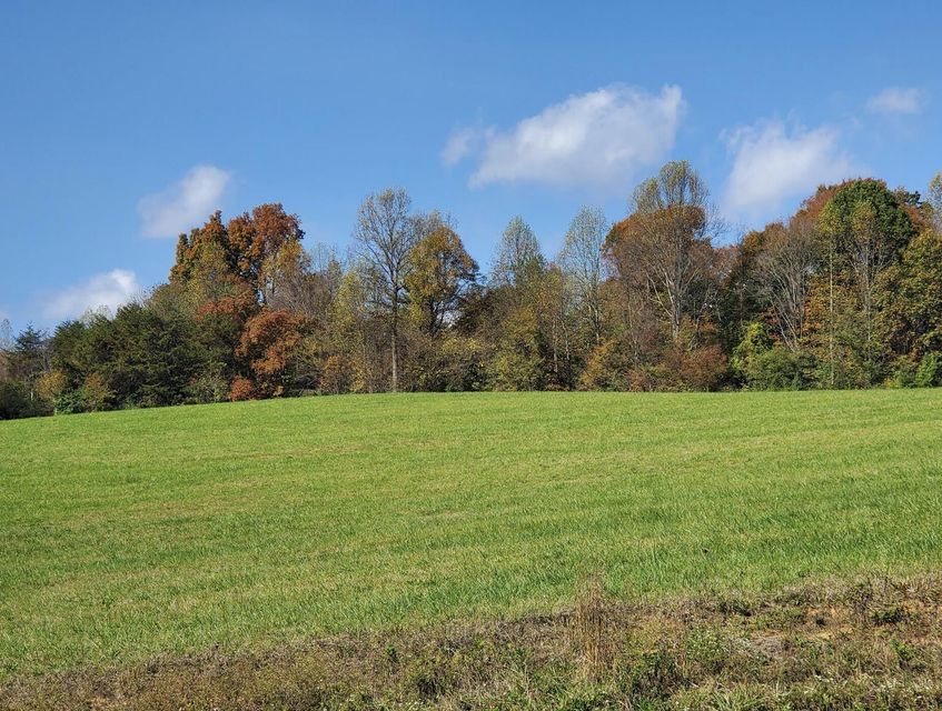 Photo #15: Lot 6 Antioch Road