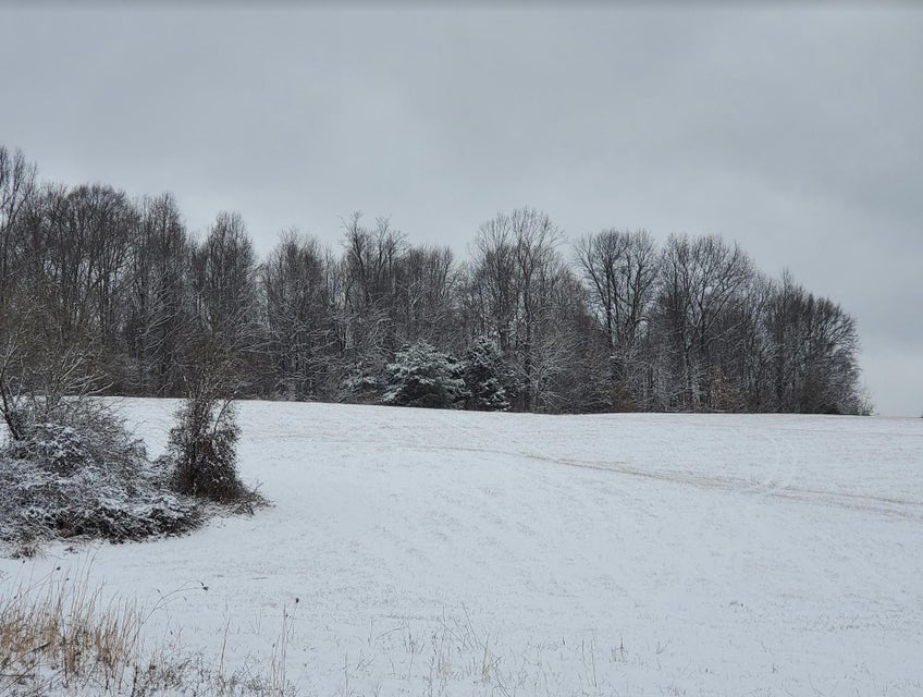 Photo #16: Lot 6 Antioch Road