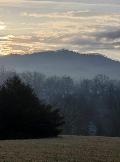Photo #17: Lot 6 Antioch Road