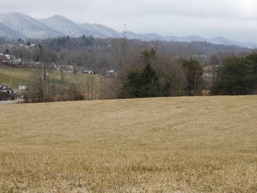 Photo #18: Lot 6 Antioch Road