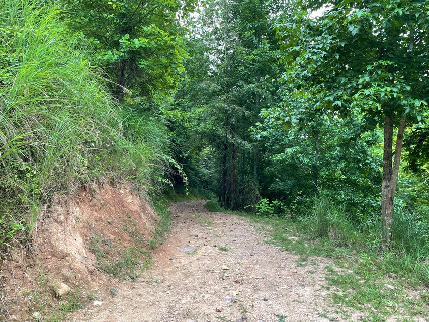 Photo #5: Tbd Dr Andrew Jackson Hwy