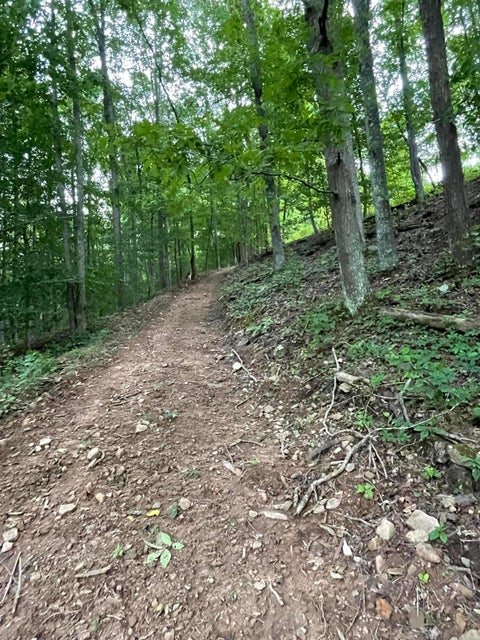 Photo #6: Tbd Dr Andrew Jackson Hwy