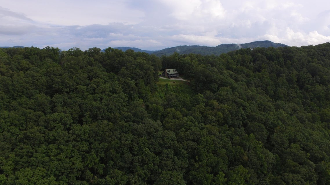 Photo #6: 240 Joe Pye Lane