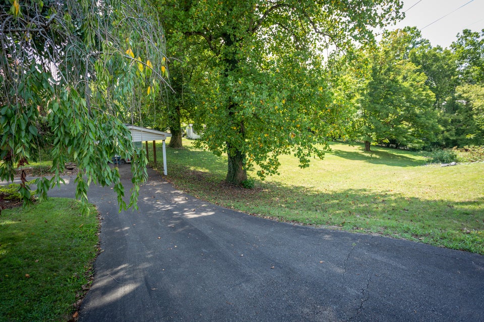 Photo #44: 800 Southside Avenue