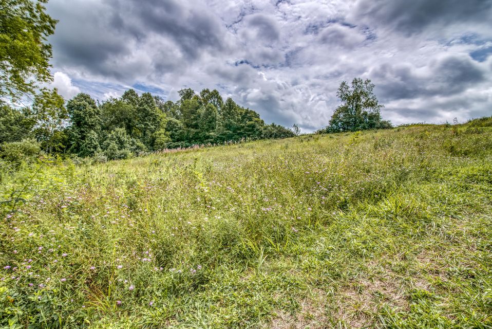 Photo #2: Tbd Bordwine Road