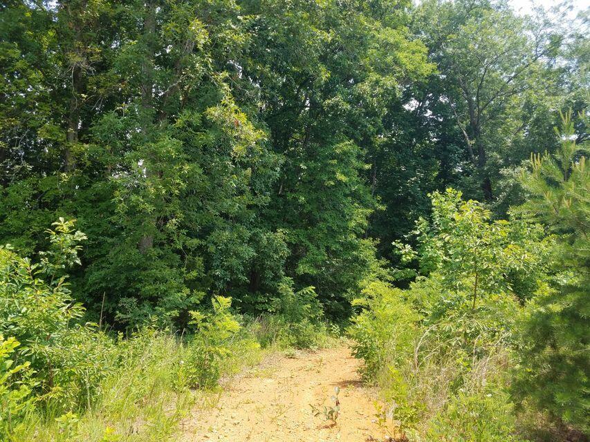 Photo #10: 00 Rocky Springs Rd