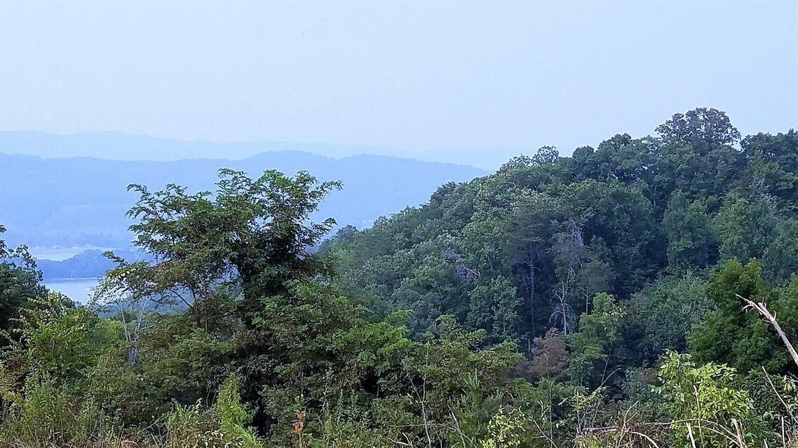 Photo #38: 00 Rocky Springs Rd