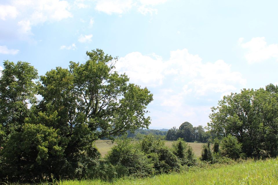 Photo #6: 19480 Brandywine Road