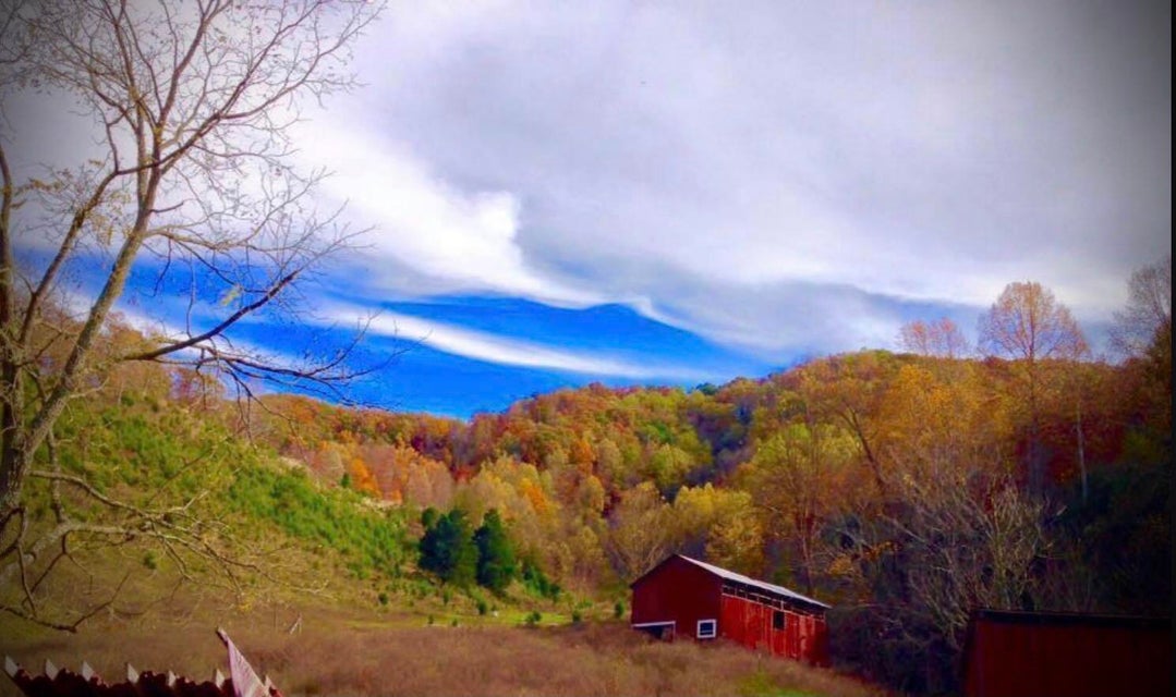 Photo #15: 2397 Robinette Valley Road