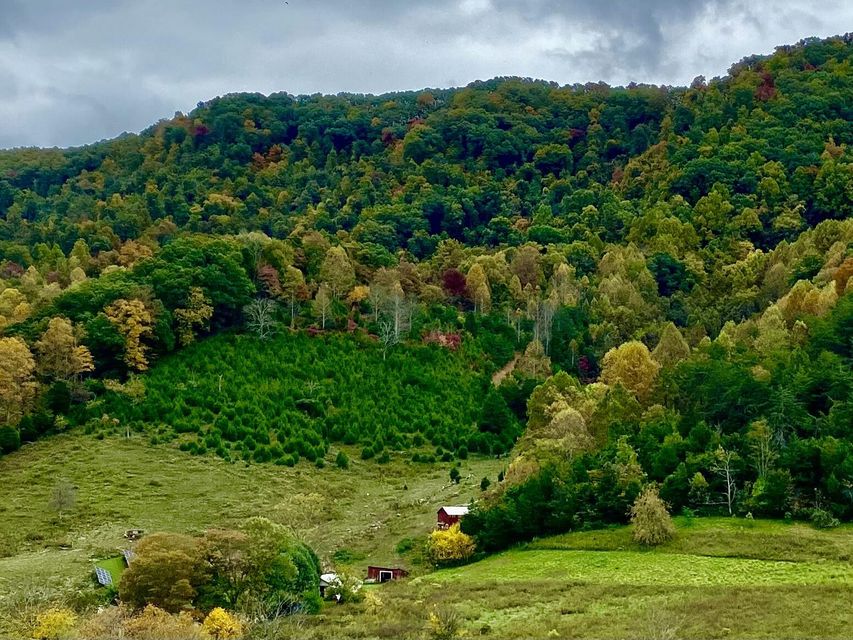 Photo #16: 2397 Robinette Valley Road